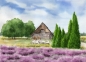 Preview: Postcard DIN-A6  Watercolor Art Print Luneburg Heath Heathland Landscape Coach Carriage Ride